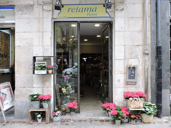 Retama Flores